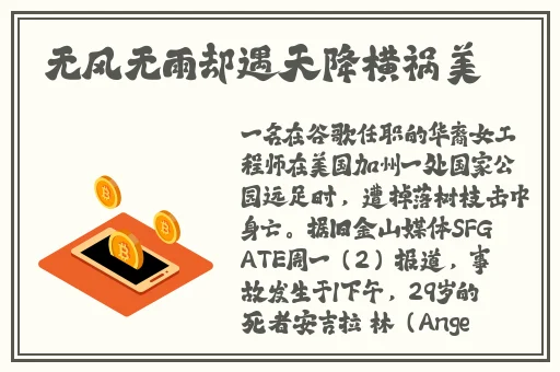 精品一级特黄A片免费观看